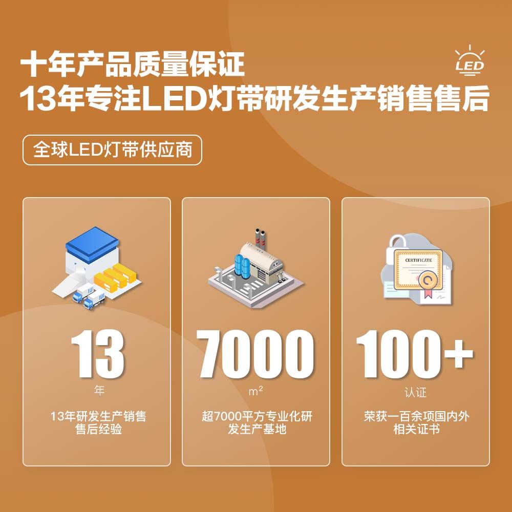 16x16洗墻燈48燈/米｜IP68防水DC24V高亮工程裝飾燈帶 - 6