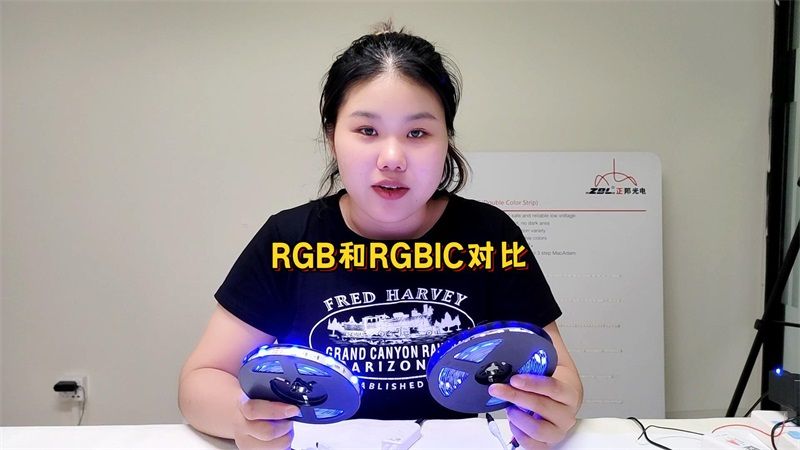 RGB vs RGBIC: 燈帶中的兩大巨頭有什么區別？
